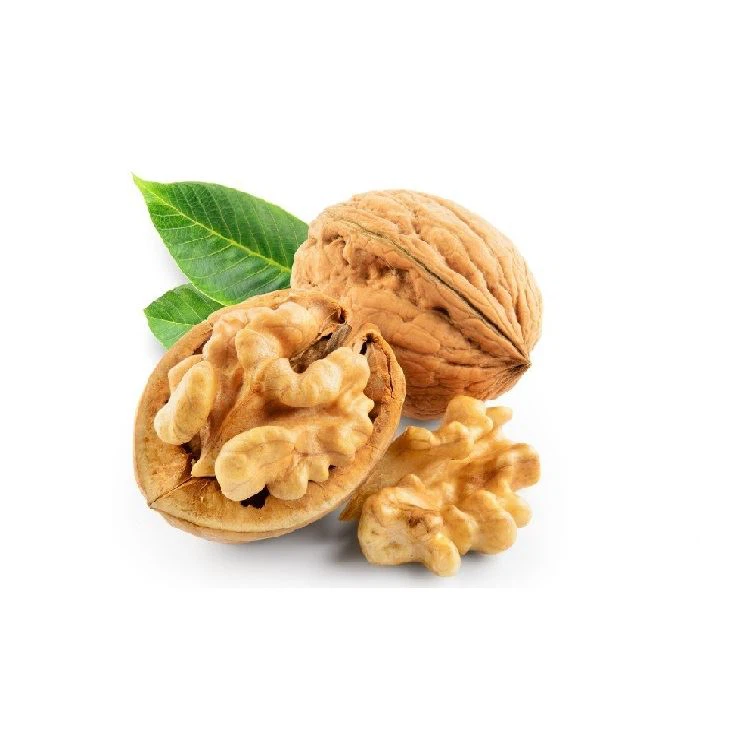 Extra Light Halves Shelled Walnuts